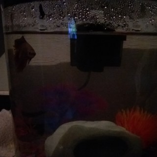 RedEnderVanYT avatar