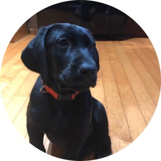 memeking12345644 avatar