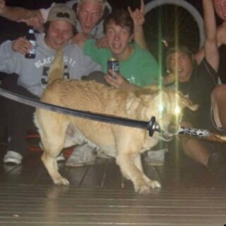 Hitman_of_memes1 avatar