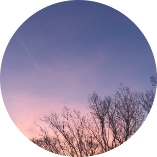 superthepurplecat avatar