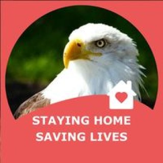 mwachtler1979 avatar