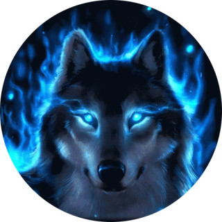 theenchantedwolves avatar