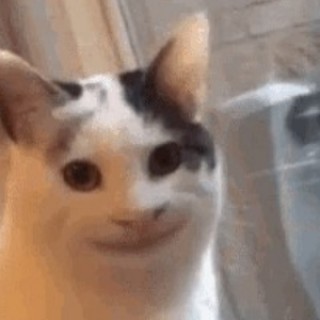 smilingcat avatar
