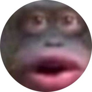 memes4evernever
