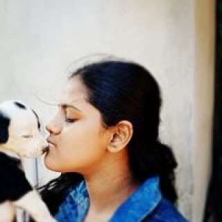 minirajesh548 avatar