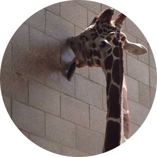 not_thatweirdboi avatar