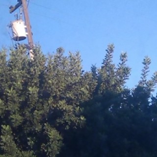 thatonefunnyperson3428 avatar