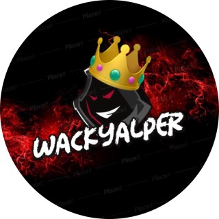 WackyAlper avatar