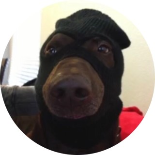 flaminghotmartini avatar