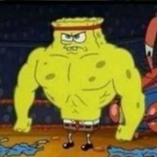 DankMemesonly avatar