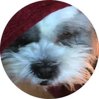 Animelover2010 avatar