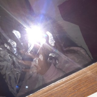 shanellecarrera avatar