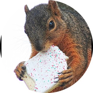 LemonDiary.com avatar