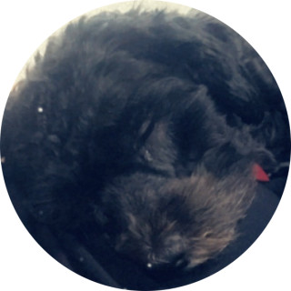 mason_thememer avatar