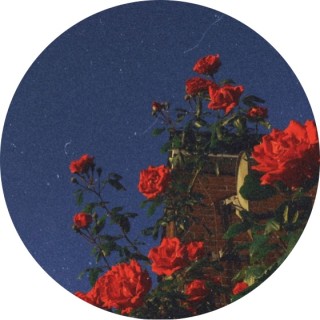 im_not_funny_ugh avatar