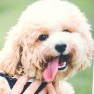 erichclairerang avatar