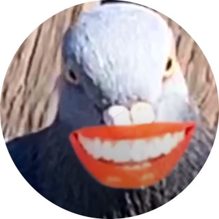 meme_dreamer69 avatar