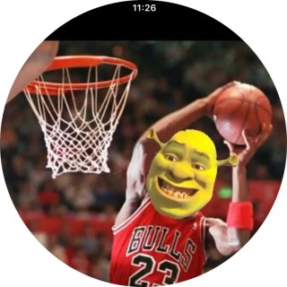 Basketball_Shrek avatar