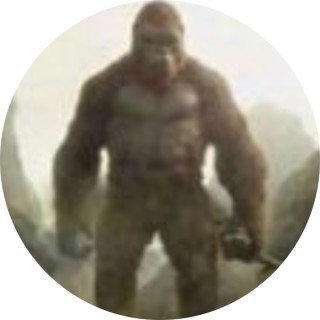 oksobasicallyimmonky avatar