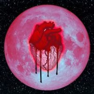 abdikadirak490 avatar