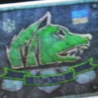 WolfFRfreedomStalker avatar