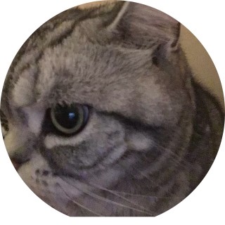 chicken_nugg_nugg avatar