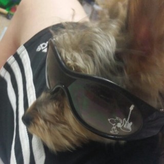 nickenchuggetsizyummy avatar