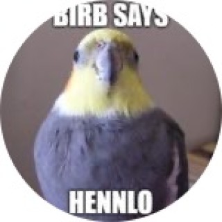 thebigbirb