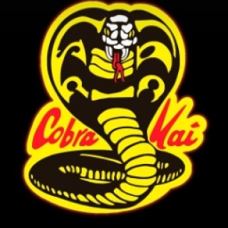 cobrakai1 avatar