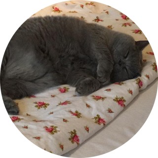 happyhappyhappywolf avatar