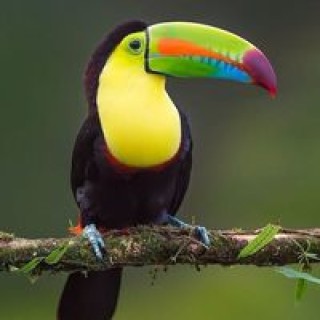 einaraz.9vaskya avatar