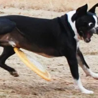 memeeeeee.lord127 avatar