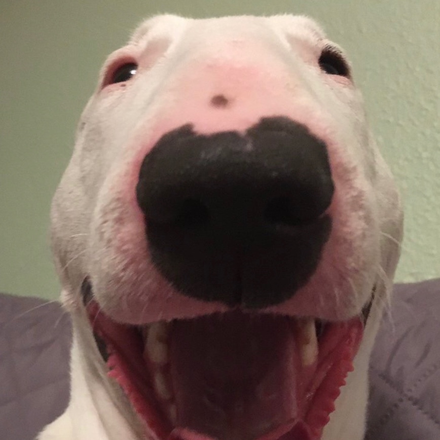 Islepwithyourmomlastnigth avatar