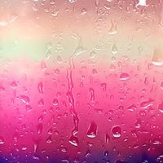 michellenicole2019 avatar