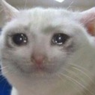 The.Living_Meme avatar