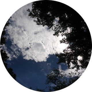 meme_that_are__to_relatable avatar