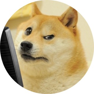dogewowwow avatar