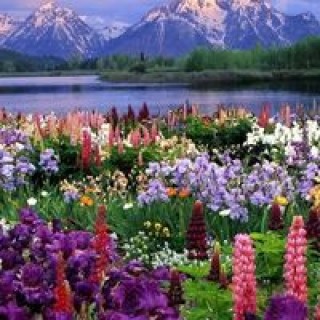 handren_rafiq avatar