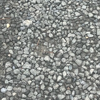 bugsbunny8519 avatar