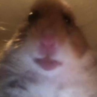 I_Love_MemesJK avatar