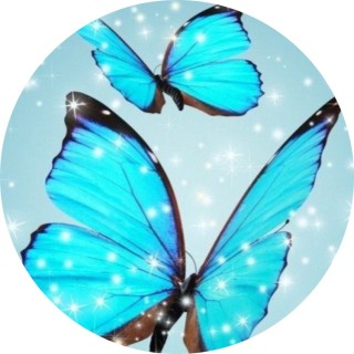 wolfsarekindaawsome avatar