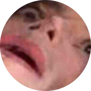 darkshadowking63728 avatar