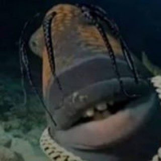 whyamistill_alive avatar