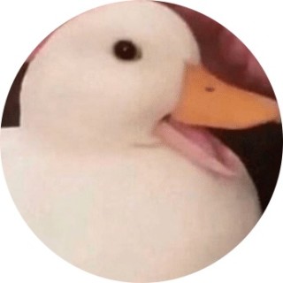 MemeDuck17 avatar