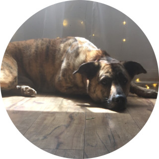 zoey123564780 avatar