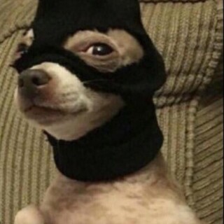 istoleyourcheese avatar