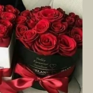 musTapha_3ali avatar