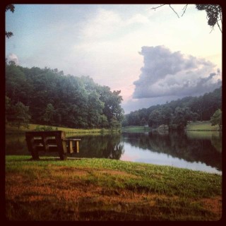 brandytownshend avatar