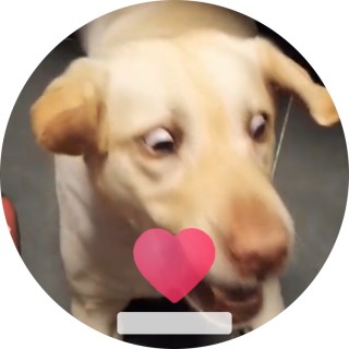 isyourgirlme123 avatar