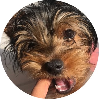 Miss_Zoe_J_Johnson avatar